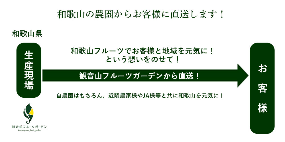 観音山フルーツガーデンと一般流通の違い。農家直送で朝露香るフルーツをお届けします。お届けしたいのは、フルーツとその先に広がるストーリーです。
